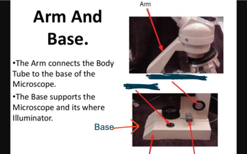 Parts Of The Compound Microscope | Educreations