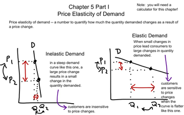 price elasticity of demand class 11 project