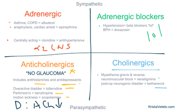 Nursing Pharmacology: Adrenergic & Cholinergic Medication | Educreations