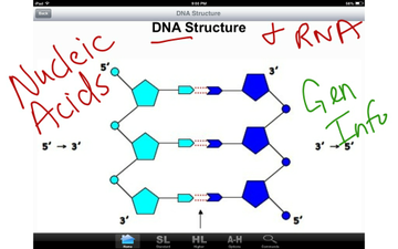 Biomolecules | Educreations