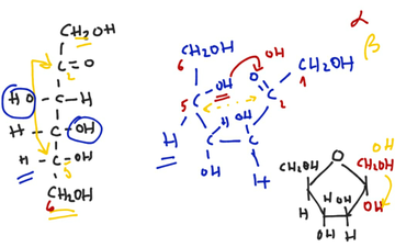 Ciclación Monosacàridos | Educreations