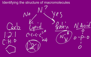 how to identify macromolecules